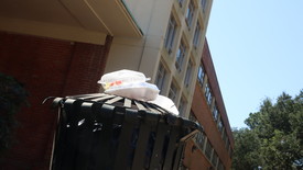 Trash outside of Walsh Hall (photo: Conner Moore)