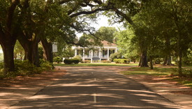 Spring Hill College Avenue of the Oaks (photo: Marian Cook)